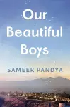 Our Beautiful Boys cover