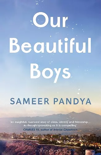 Our Beautiful Boys cover