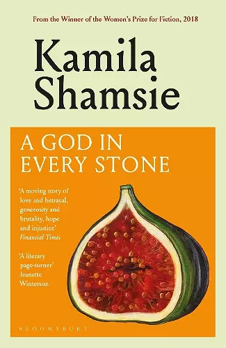 A God in Every Stone cover