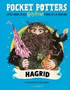 Hagrid cover