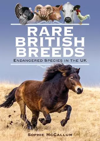 Rare British Breeds cover