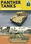 Panther Tanks: Germany Army Panzer Brigades cover