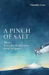 A Pinch of Salt cover