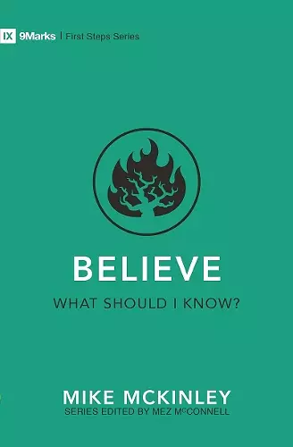 Believe – What Should I Know? cover