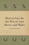 How to Care for the Feet of Your Horses and Mules cover