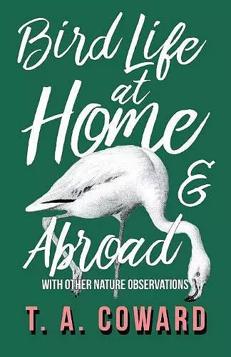 Bird Life at Home and Abroad - With Other Nature Observations cover