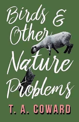 Bird and Other Nature Problems cover