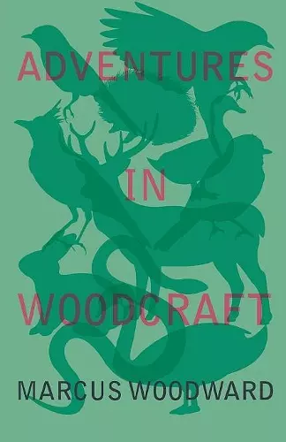 Adventures in Woodcraft cover