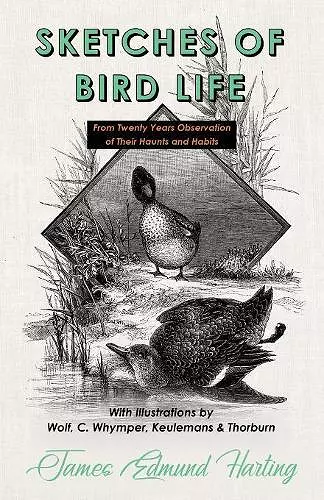 Sketches of Bird Life - From Twenty Years Observation of Their Haunts and Habits - With Illustrations by Wolf, C. Whymper, Keulemans, and Thorburn cover