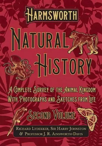 Harmsworth Natural History - A Complete Survey of the Animal Kingdom - With Photographs and Sketches from Life - Second Volume cover