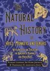 The Natural History of Apes, Monkeys and Lemurs - With Articles on Evolution, the Kingdom of Mammals and Much More cover