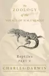 Reptiles - Part V - The Zoology of the Voyage of H.M.S Beagle cover