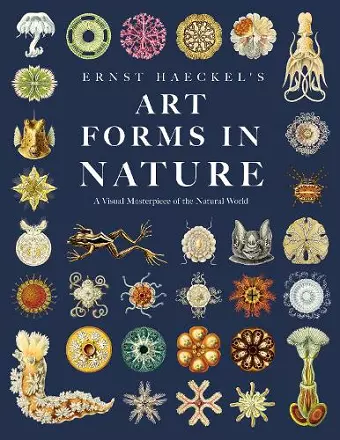 Ernst Haeckel's Art Forms in Nature cover