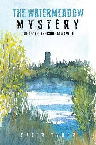 The Watermeadow Mystery cover