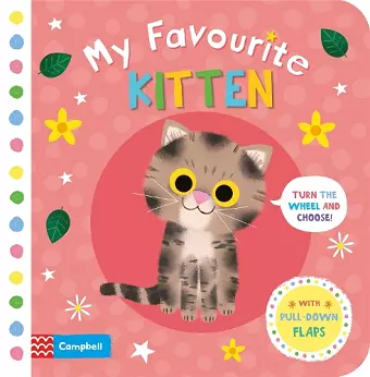 My Favourite Kitten cover