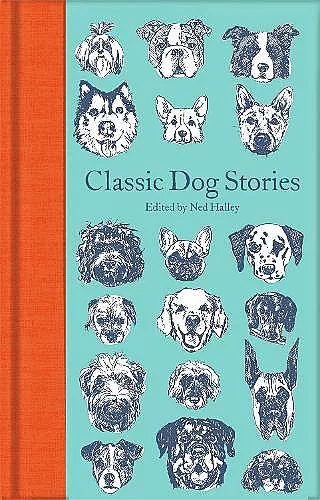 Classic Dog Stories cover