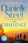 The Challenge cover