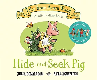 Hide-and-Seek Pig cover