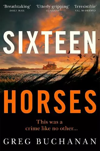 Sixteen Horses cover