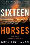 Sixteen Horses cover