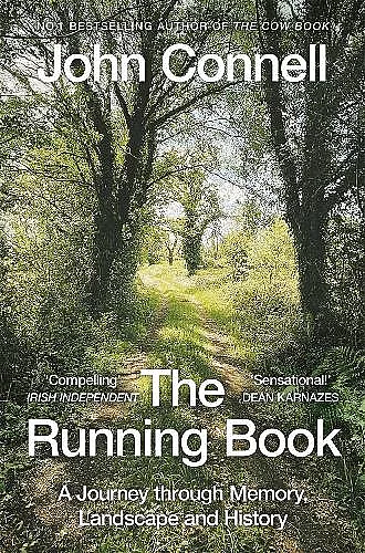 The Running Book cover