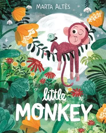 Little Monkey cover