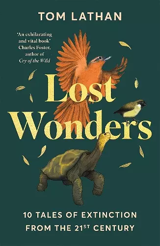 Lost Wonders cover