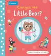 Can you see Little Bear? cover