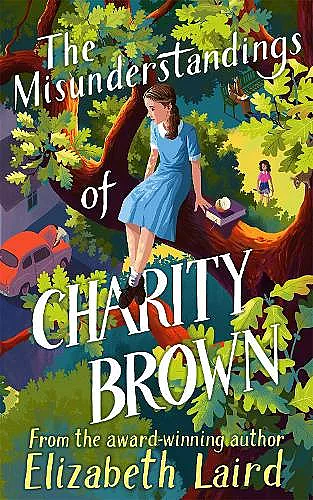 The Misunderstandings of Charity Brown cover