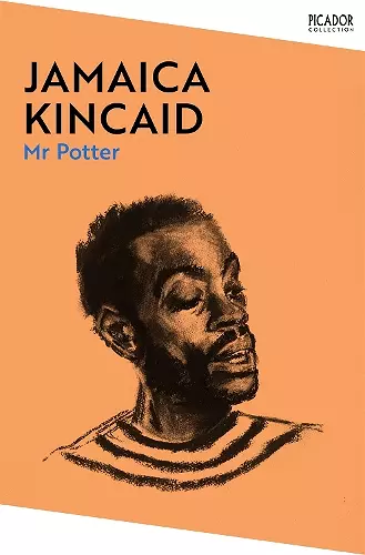 Mr Potter cover