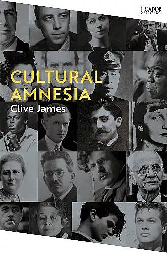 Cultural Amnesia cover