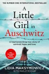 A Little Girl in Auschwitz cover
