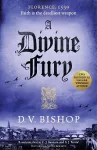 A Divine Fury cover