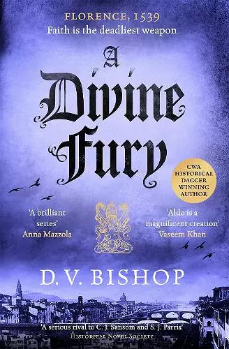 A Divine Fury cover
