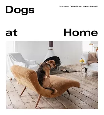 Dogs at Home cover