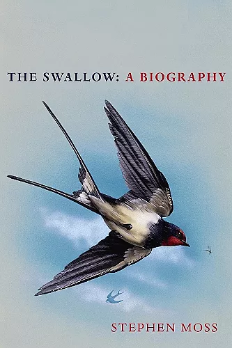 The Swallow cover