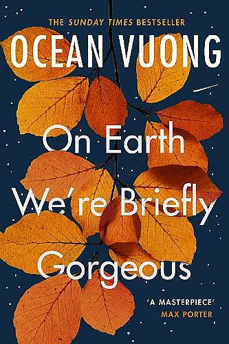 On Earth We're Briefly Gorgeous cover