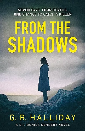 From the Shadows cover