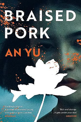 Braised Pork cover