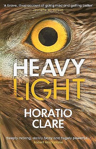 Heavy Light cover