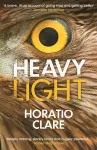 Heavy Light cover