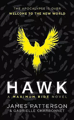 Hawk: A Maximum Ride Novel cover