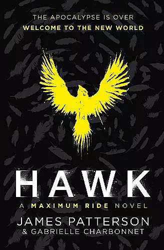 Hawk: A Maximum Ride Novel cover