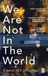 We Are Not in the World cover