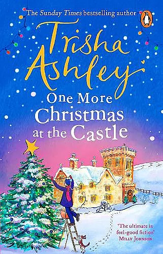 One More Christmas at the Castle cover