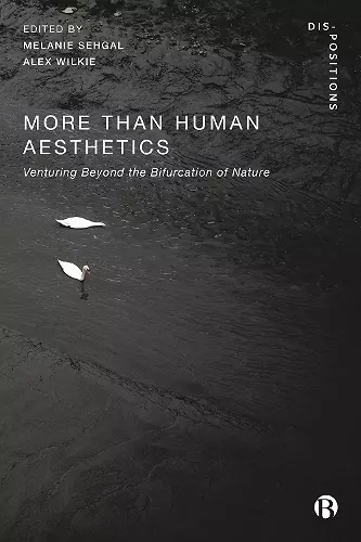 More-Than-Human Aesthetics cover