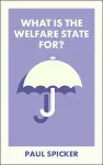 What Is the Welfare State For? cover