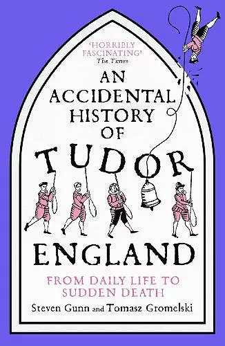 An Accidental History of Tudor England cover