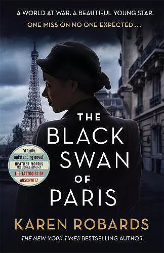 The Black Swan of Paris cover