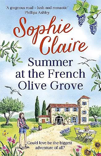 Summer at the French Olive Grove cover